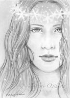 Winter Princess